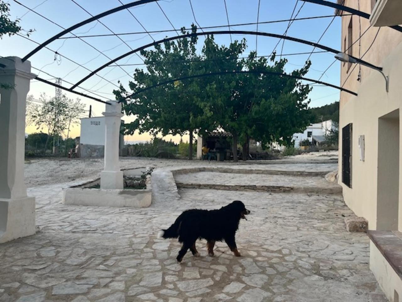 Masia Bernat Tortosa Bagian luar foto